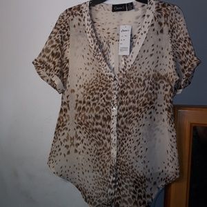 Cassee's Short Sleeve Sheer Blouse Size M